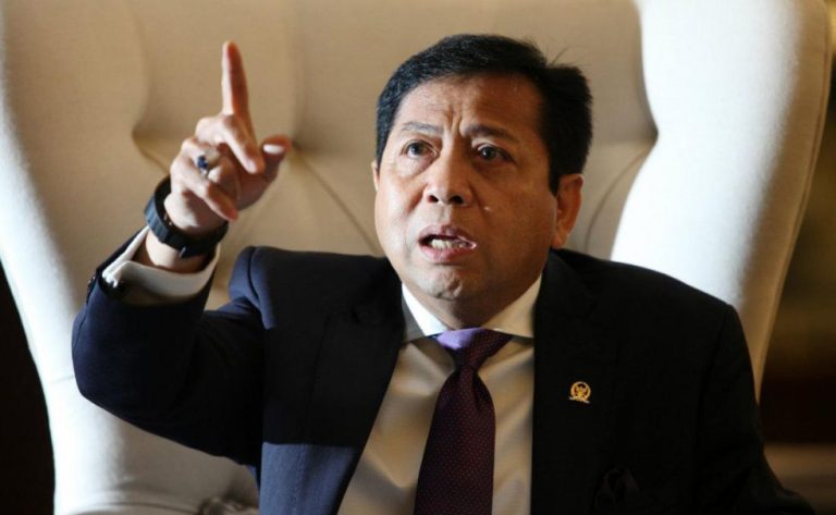 Setya Novanto Ketum Golkar