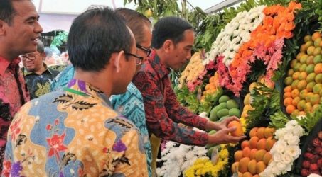 Jokowi Lihat buah