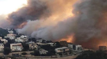 Kisah Kebakaran Hebat di Israel