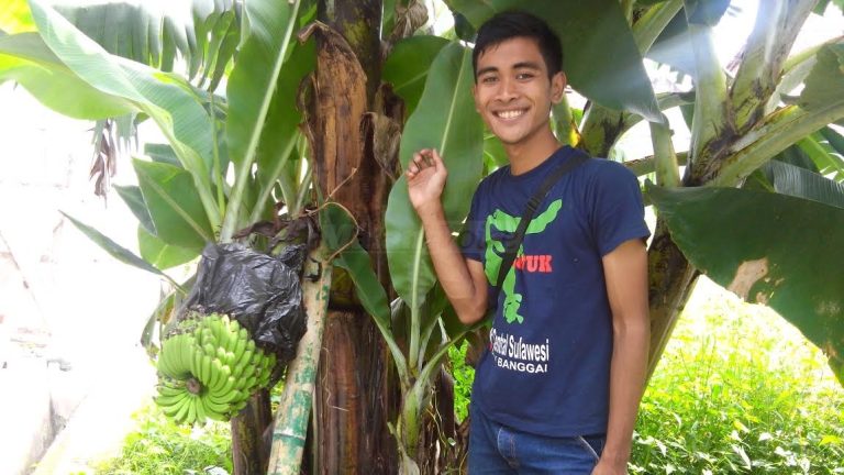 Pisang dan imam