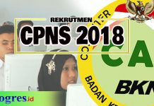 Ilustrasi CPNS