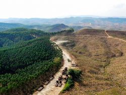 Indonesia Jadi Penyumbang Kerusakan Hutan Tropis Terbesar Akibat Pertambangan