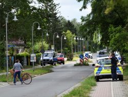 Singa Berkeliaran di Berlin, Pemburu dan Polisi Turun Tangan