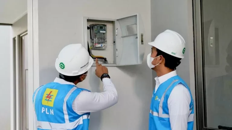 pln