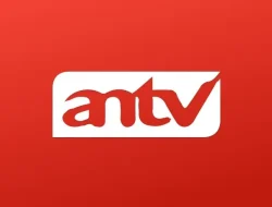 Jadwal Acara ANTV Selasa 12 Agustus 2025: Mega Bollywood, Sinema Spesial, hingga Laga Aksi Klasik