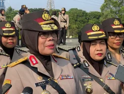 Profil Brigjen Desy Andriani, Direktur Pertama Tindak Pidana PPA Polri