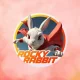 Combo Harian Rocky Rabbit 19 September 2024