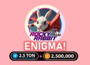 rocky rabbit enigma