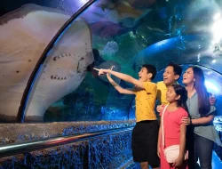 Libur Panjang Jelang Maulid Nabi, Sea World Ancol Dipadati 5.500 Pengunjung