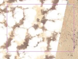 Usai Serangan Iran, Israel Tutupi Peta Citra Satelit Pangkalan Udara Nevatim dengan Awan Digital