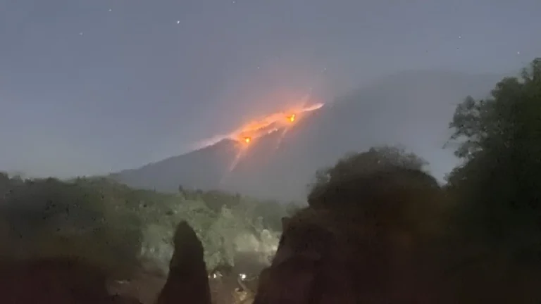 kebakaran hutan di gunung agung