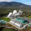 Direktur Utama Pertamina Geothermal Energy (PGEO) Julfi Hadi Resmi Mundur dari Jabatan
