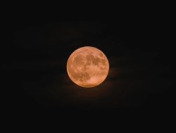 10 Fenomena Langit Spektakuler November 2025: Ada Supermoon Raksasa & Hujan Meteor Api!