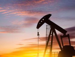 India Kembali Impor Minyak Iran Setelah Tujuh Tahun, Pemerintah Pastikan Tak Ada Kendala Pembayaran