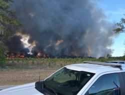 Tallahassee Diselimuti Kabut Asap, Kebakaran Hutan Mengganas di Florida