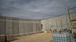 Israel Pakai Jaring Ikan Hadapi Drone Hizbullah, Sistem Pertahanan Canggih Justru Tak Efektif