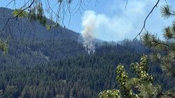 Jet Tempur AS Jatuh di Washington, Kebakaran Hutan Terjadi di Dekat Danau Rimrock