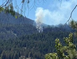 Jet Tempur AS Jatuh di Washington, Kebakaran Hutan Terjadi di Dekat Danau Rimrock