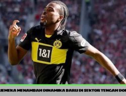 Chukwuemeka Tambah Opsi Lini Tengah Borussia Dortmund