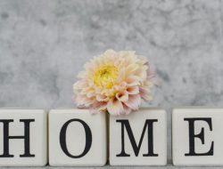 Dekorasi rumah yang stylish menampilkan huruf-huruf yang mengeja 'HOME' dengan aksen dahlia yang lembut untuk menciptakan suasana yang nyaman.
