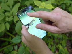 The iNaturalist app – Mixing science with fun
