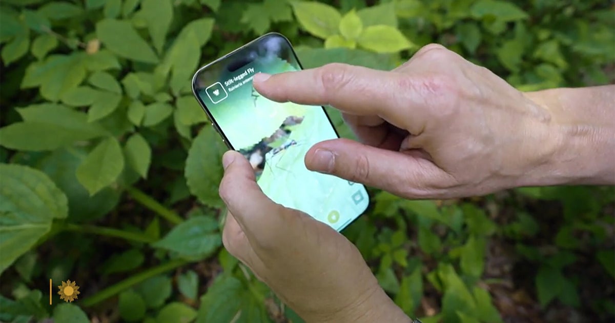 The iNaturalist app – Mixing science with fun