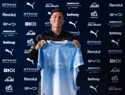 enzo fernandez