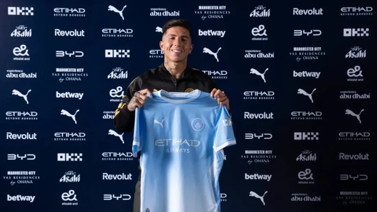 enzo fernandez