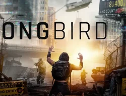 songbird