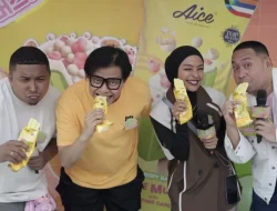dewan juri aice got you season 2