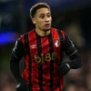 marcus tavernier