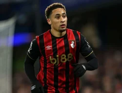 marcus tavernier