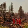 karhutla di kalimantan